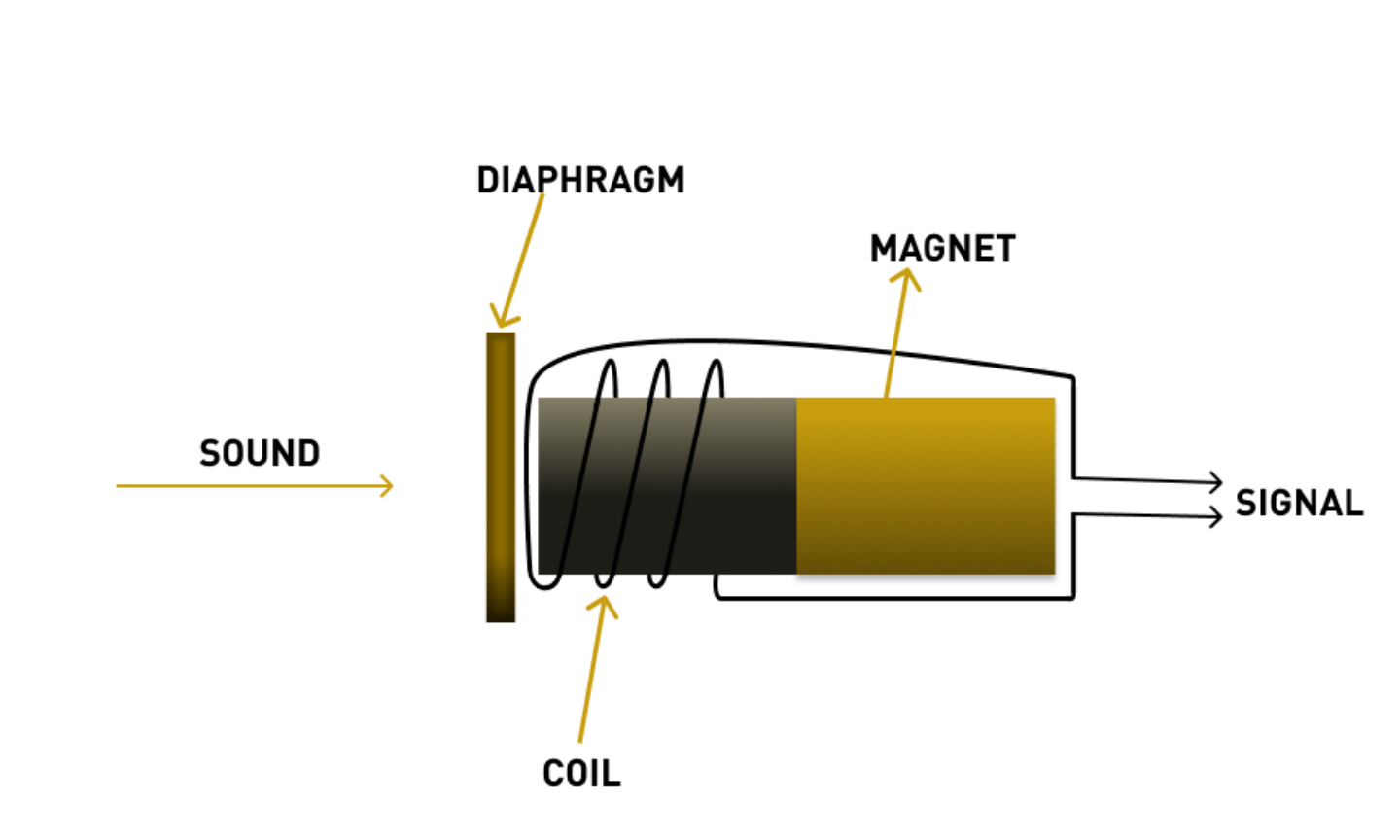 A Beginners' Guide to Microphones - ADAM Audio Blog