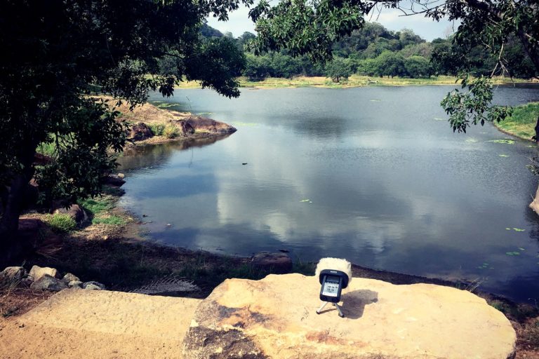 Aisling Brouwer's mobile recording setup