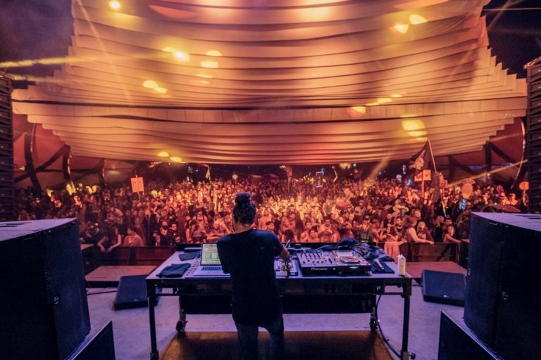 Hedflux performing live